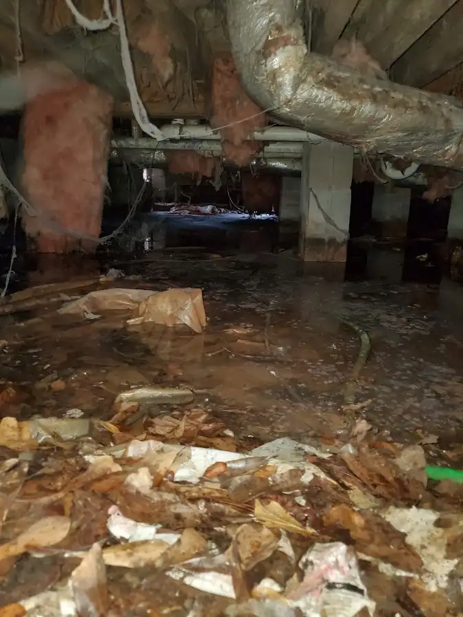 Crawl space flood assessment for Leak Detection & Repair in Lander